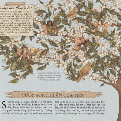 Sách - Cẩm Nang Về Tiên - Bìa Cứng