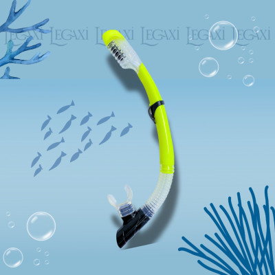 Ống Thở Bơi Lặn Biển Ngắm San Hô Đáy Biển Dã Ngoại Picnic