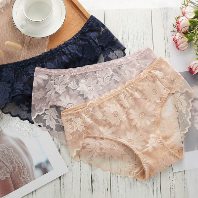 COMBO 5 QUẦN BÔNG ÉP HOA CÚC SEXY 817