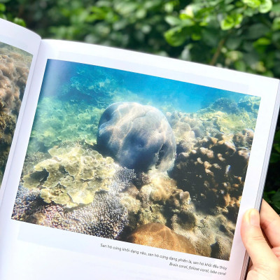 (Sách Song Ngữ) KHÁM PHÁ VIỆT NAM XANH: HÀNH TINH BIỂN - Khám Phá Hệ Sinh Thái Đầy Màu Sắc Dưới Đại Dương - Phạm Thanh Kiều Trang - Alpha Books
