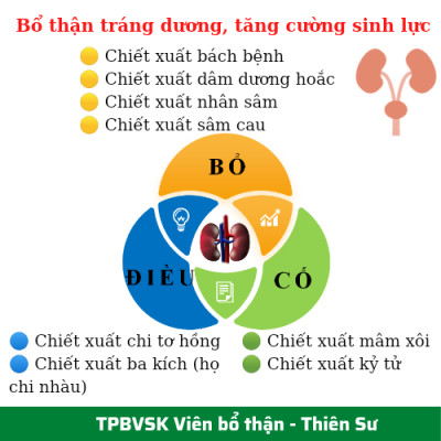 TPBVSK Viên Bổ thận - Thiên Sư