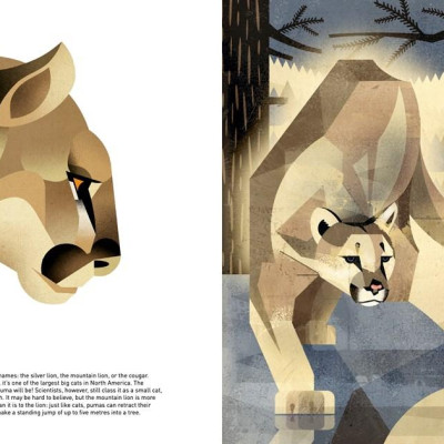 Sách - Wild Animals of the World by Dieter Br.aun (UK edition, hardcover)