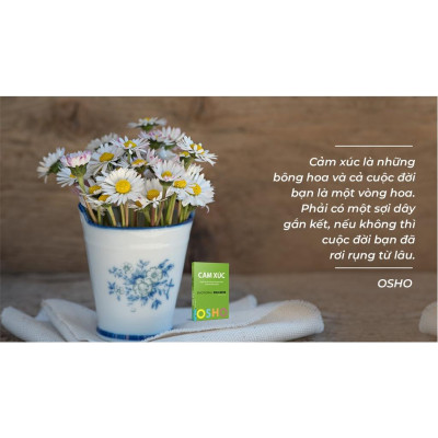 Sách OSHO Cảm Xúc - Emotional Wellness - First News