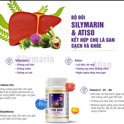 Giải độc gan Foie Sain - Hỗ trợ thải độc, hạ men gan, tăng cường chức năng gan (Hộp 60v)