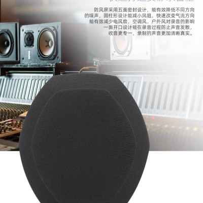 SOAIY Màn Chắn Lọc Âm Giảm Tiếng Ồn, Lọc Tạp Âm Cho Phòng Thu F3 - Hàng Nhập Khẩu