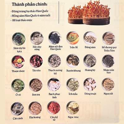 VSM - Ginseng House - Chiết Xuất Đông Trùng Hạ Thảo & Hồng Sâm Hàn Quốc 6 Năm Tuổi -Hộp 30 gói 