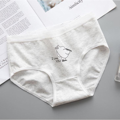 Sét 5 Quần Lót Cotton ( Mã B231)