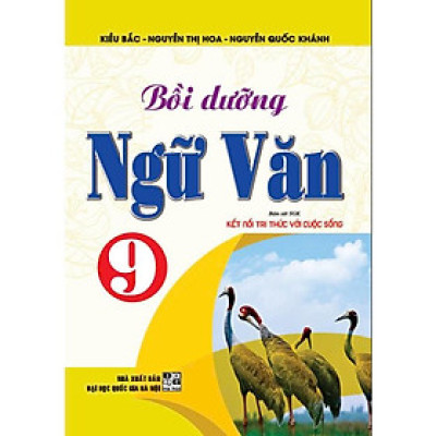 Sách - Bồi dưỡng ngữ văn 9 (bám sát sgk kết nối tri thức với cuộc sống) - HA3