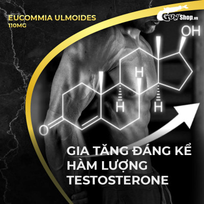 Viên uống phục hồi và tăng cường sức khỏe sinh lý nam giới Powergra Rino - Vỉ dùng thử 1 viên