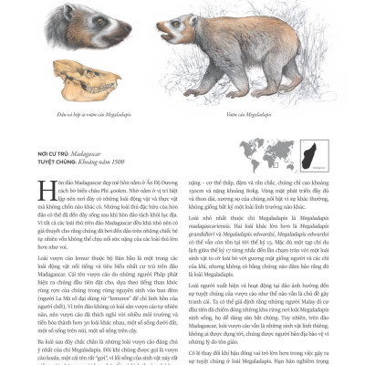 Atlas Các Động Vật Nổi Danh Đã Tuyệt Chủng