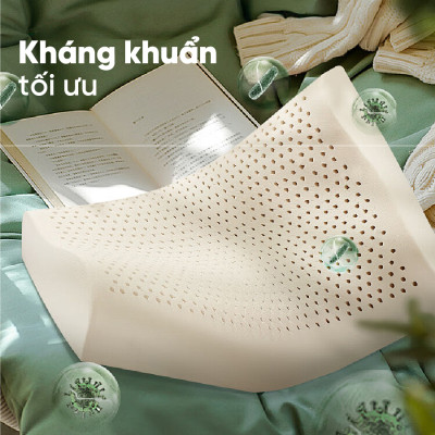 Gối nằm Cao Su Thiên Nhiên Tatana Cong Thái Học size 40x60 cm ,Chống Đau Cổ Vai Gáy ,Vỏ Áo Làm Mát, Thoáng Khí Êm Ái