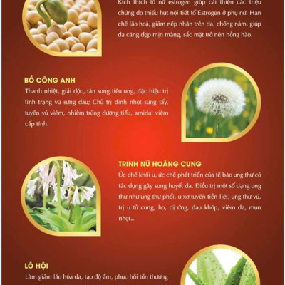 Viên uống Đẹp Da (BeautySAM) - Da sáng bóng, nhẵn mịn, hồng hào từ bên trong một cách tự nhiên, nâng cao thể trạng, thải độc và thanh lọc cơ thể, Cải thiện nội tiết tố nữ