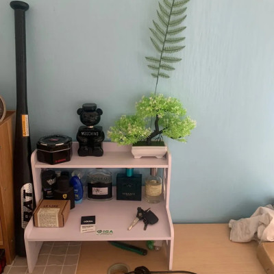 Kệ mỹ phẩm 2 tầng, kệ đa năng mini để bàn gỗ nhựa không thấm nước