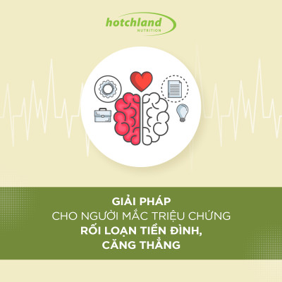 Viên uống Ginkgo Biloba hỗ trợ tăng cường tuần hoàn máu não, bổ não Hotchland Mega Brain TPBVSK-Hàng chính hãng [Hộp 60 viên]-HL0115