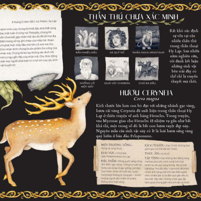 Sách - Cẩm Nang Về Sinh Vật Huyền Bí - Bìa Cứng