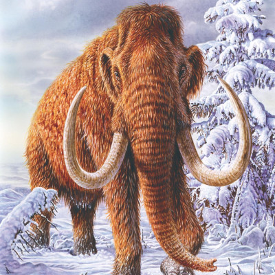 Atlas Các Động Vật Nổi Danh Đã Tuyệt Chủng