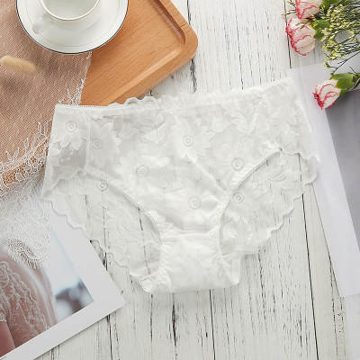 COMBO 5 QUẦN BÔNG ÉP HOA CÚC SEXY 817