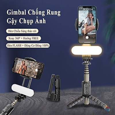 Gậy Chụp Hình Gimbal Chống Rung HIGH TECH GATE Q09 Mini Cầm Tay Du Lịch, Chụp Ảnh Tự Sướng Selfie, Quay Video, Livestream, Quay Tiktok Mọi Nơi, Có Đèn Sáng Tháo Rời, Hàng Chính Hãng