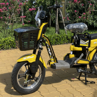 XE ĐIỆN AVA Z6, AVA Z LIMITED