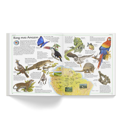 Sách - Atlas Động Vật - Đông A