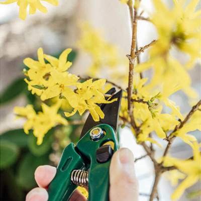 Kéo Cắt Tỉa Cành Cây Echo Metal 18.5cm Lưỡi Thép Cao Cấp