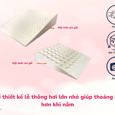 Gối Latex Foam Chống Trào Ngược Cho Người Lớn Kingroll Tặng Kèm Áo Vải Lưới 5D Thoáng Mát Được Bọc Sẵng