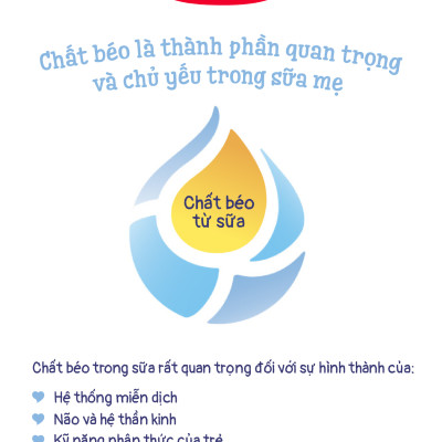 Combo 2 Sữa bột công thức Semper Baby Nutradefense 2 400g/hộp và Semper Bfidus Nutradefense 2 400g/hộp