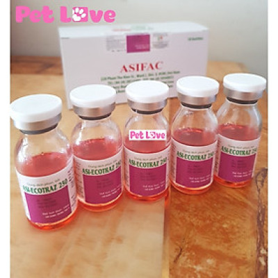 Combo 5 Ecotraz phun xịt ghẻ, bọ chét, ve rận trên chó