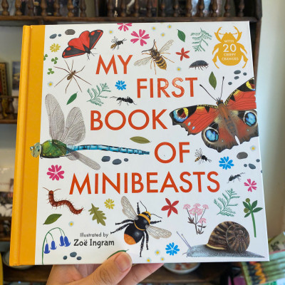 Sách - My First Book of Minibeasts by Zoe Ingram | Children