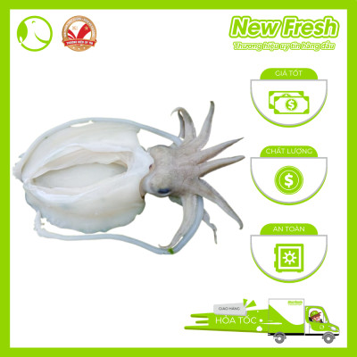 [Giao Nhanh HCM] Mực Nang Làm Sạch - Túi 1Kg