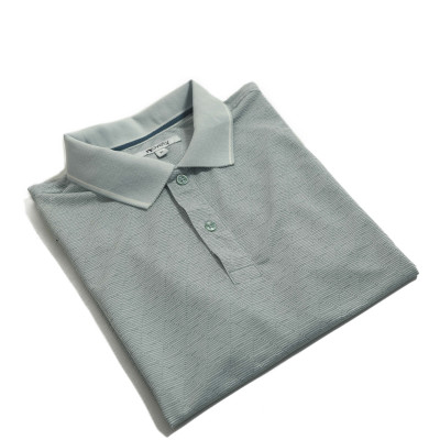 Áo Polo nam Novelty Regular fit NATMINMCLR210085N