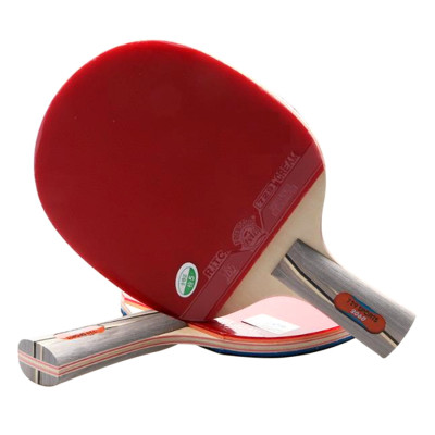 Vợt Bóng Bàn 729 - 2060