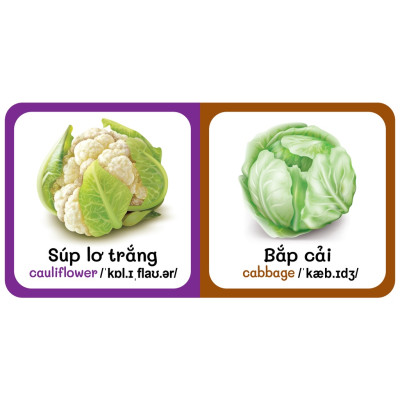 Sách - Trọn Bộ 9 Cuốn Từ Điển Bằng Hình Đầu Tiên Của Bé Từ 0-6 tuổi - Song Ngữ Anh- Việt (Các trang đều là Bìa Cứng)