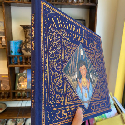 Sách - A Natural History of Magick (Folklore Field Guides) by Poppy David | Children