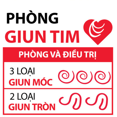 1 hộp x 6 viên HEARTGARD (mẫu mới) tẩy giun chó từ 11.5kg đến 22.5kg