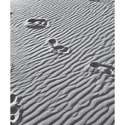 Sách ngoại văn: Make Change That Lasts