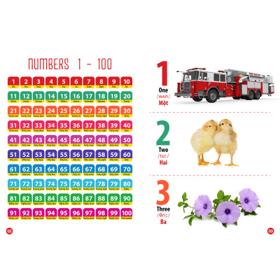 Trọn Bộ Từ Điển -Thư Viện Hình Ảnh Song Ngữ Đầu Tiên Của Bé ( bộ 8 cuốn)