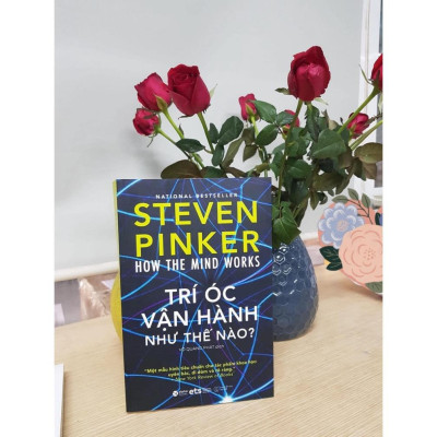 Trí Óc Vận Hành Như Thế Nào - How The Mind Works - Bản Quyền