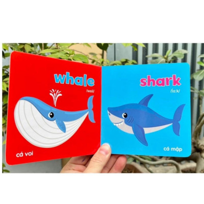 Bộ Sách - Baby First Picture Book - Song Ngữ Anh Việt - Bìa Cứng 8 Chủ Đề Quét QR File Nghe