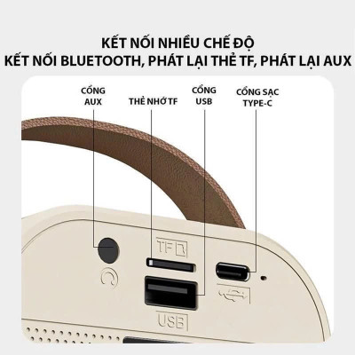 Loa Bluetooth Karaoke - Loa xách tay mini chất liệu nhựa cao cấp, công suất 6W và micro không dây - Hàng nhập khẩu