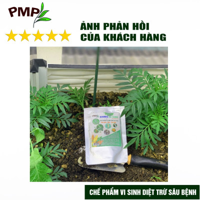 Combo Green Neem Hữu Cơ, Chế Phẩm Vi Sinh Biomic & Giấm Gỗ Sinh Học APY PMP Bảo Vệ Toàn Diện Hoa Hồng, Rau, Cây Cảnh