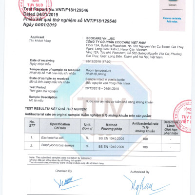 Nước rửa tay hữu cơ diệt khuẩn dạng bọt hương Quế 1000ml thương hiệu Ecocare