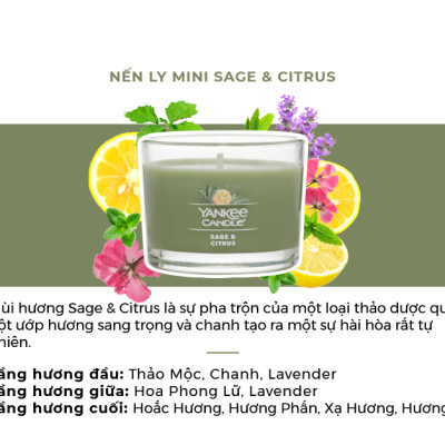 Nến ly mini Yankee Candle (37g) - Sage & Citrus