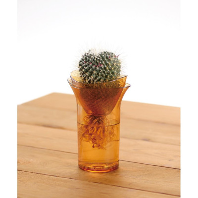 Lọ trồng cây Richell thủy canh 2 in 1