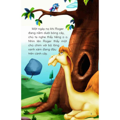 Thế Giới Tuyệt Vời Của Động Vật - Lạc Đà Và Chim Ruồi