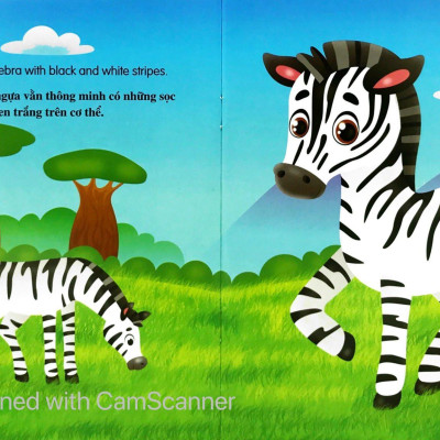 Bộ Sách Những Câu Chuyện Về Thế Giới Loài Vật 1 (Bộ 6 Cuốn)