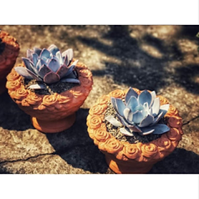 Chậu Gốm Đất Nung VIỀN HOA HỒNG size 25cm và 34cm