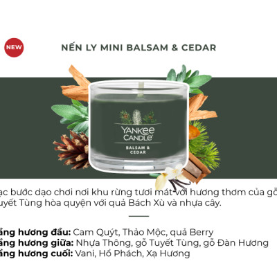 Nến ly mini Yankee Candle (37g) - Balsam & Cedar