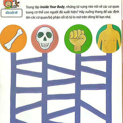 All Story - Inside Your Body - Bên Trong Cơ Thể Bạn - Trình Độ 2 (Tập 6)