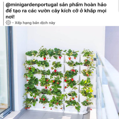 Khung Module Rau Ban Công (1M2 xếp ngang Có Tưới Nhỏ giọt bán tự động) dạng Đứng VerticalMinigarden nhập khẩu Bồ Đào Nha với 8 chậu kèm 2 Tray hứng nước và bộ dây tưới nhỏ giọt lắp sẵn